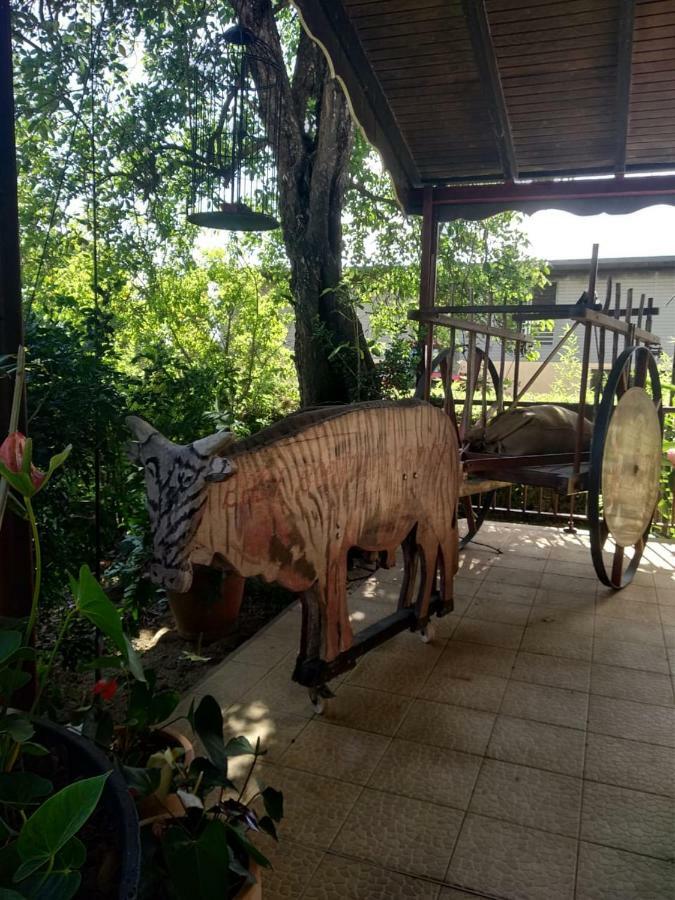 Ti Kaz En Bois Villa Sainte-Rose Exterior photo